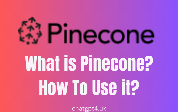 What is Pinecone? How To Use it?